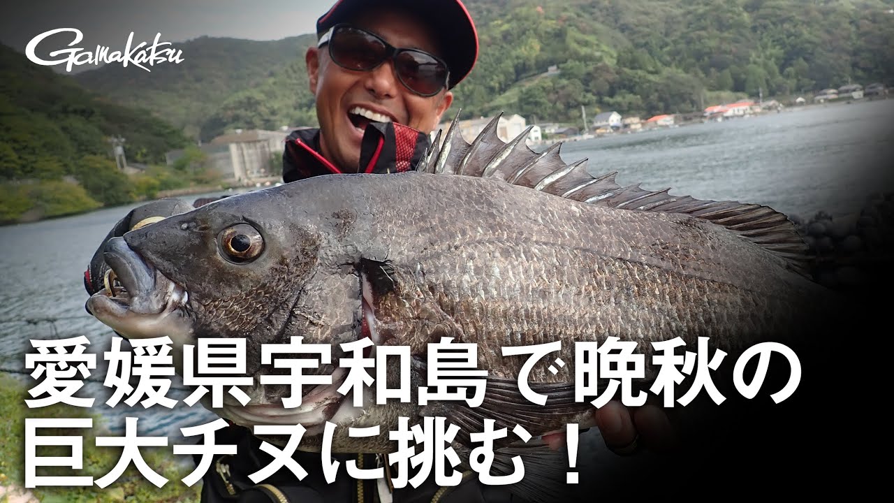 【G WORLD】#2 愛媛県宇和島で晩秋の巨大チヌに挑む！
