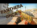 CS:GO - AK-47 | Panthera Onca Gameplay
