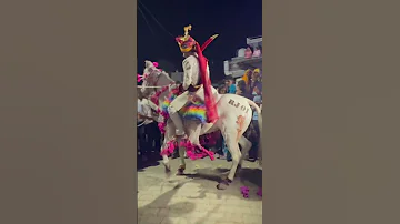 Rj 01 Godi Dance Dj Song Dance Newsong 