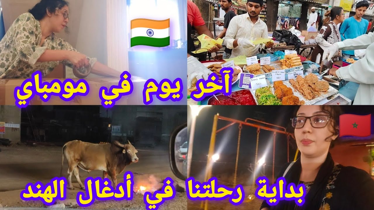 كيف كان آخر يوم في مومباي؟هكذا بدأنا رحلتنا إلى الأدغال في الهند 