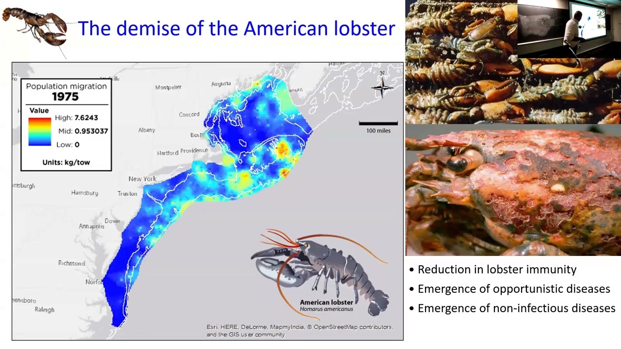 SoMAS - Shellfish Health in a Changing Environment: Can They/We Adapt?