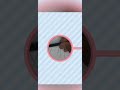 тЬиMuslim Quran Drawing ShadeтЬи ЁЯднIDЁЯСЗ SHARIMTHEART SЁЯдн тЬиMuslim Quran Drawing ShadeтЬи ЁЯднIDЁЯСЗ SHARIMTHEART SЁЯдн