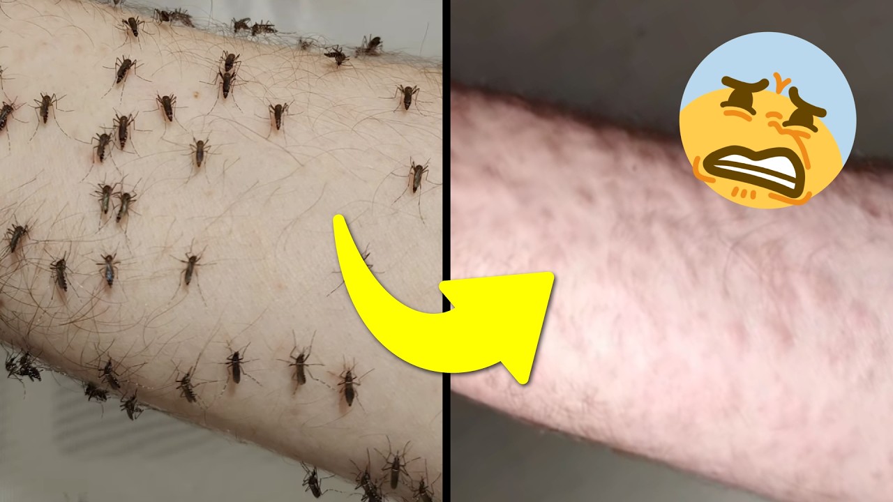 20 Cosas curiosas que encontré en Internet! 👀🤪