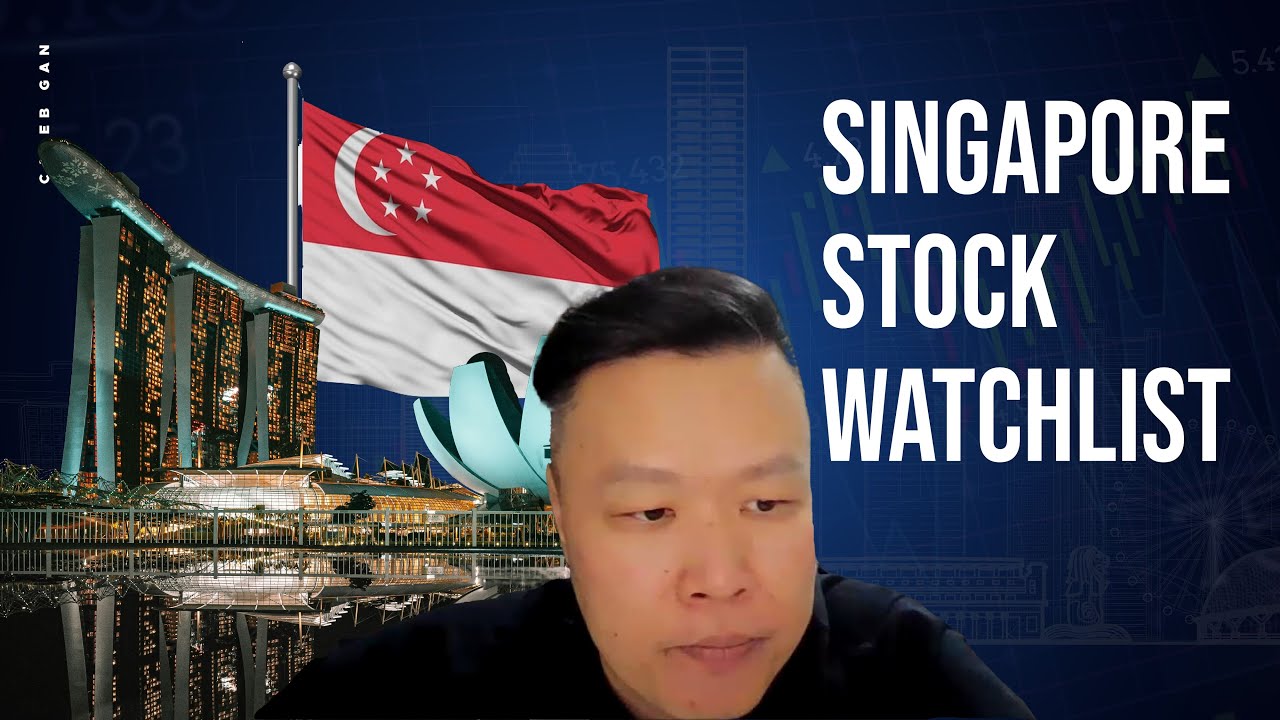 [SG Stock] Invest Like a Pro -  What You Need to Know Now !