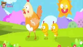 Eagle catch chicks - Eagle catch chicks - Baby Bear - Songs For Kids and Nursery Rhymes