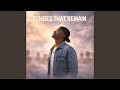 Echoes That Remain mp3