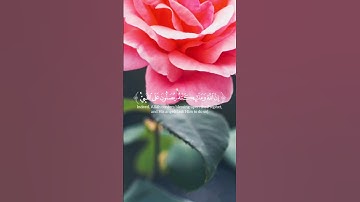 سورة الأحزاب ( إن الله وملائكته, يصلون على النبى ) ا الآية ٥٦ | بدر التركي #قرآن #سورة_الأحزاب