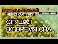 Выучить испанский через картинки |испанский словарь Слушая во время сна | Golearn