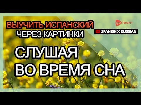 Выучить испанский через картинки |испанский словарь Слушая во время сна | Golearn