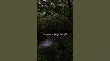 ﴿كَانُواْ قَلِيلٗا مِّنَ ٱلَّيۡلِ مَا يَهۡجَعُونَ﴾ #تلاوة_خاشعة #سعود_الشريم #مكة #الاستغفار #قرآن