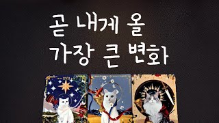 [타로] 곧 내게 올 가장 큰 변화