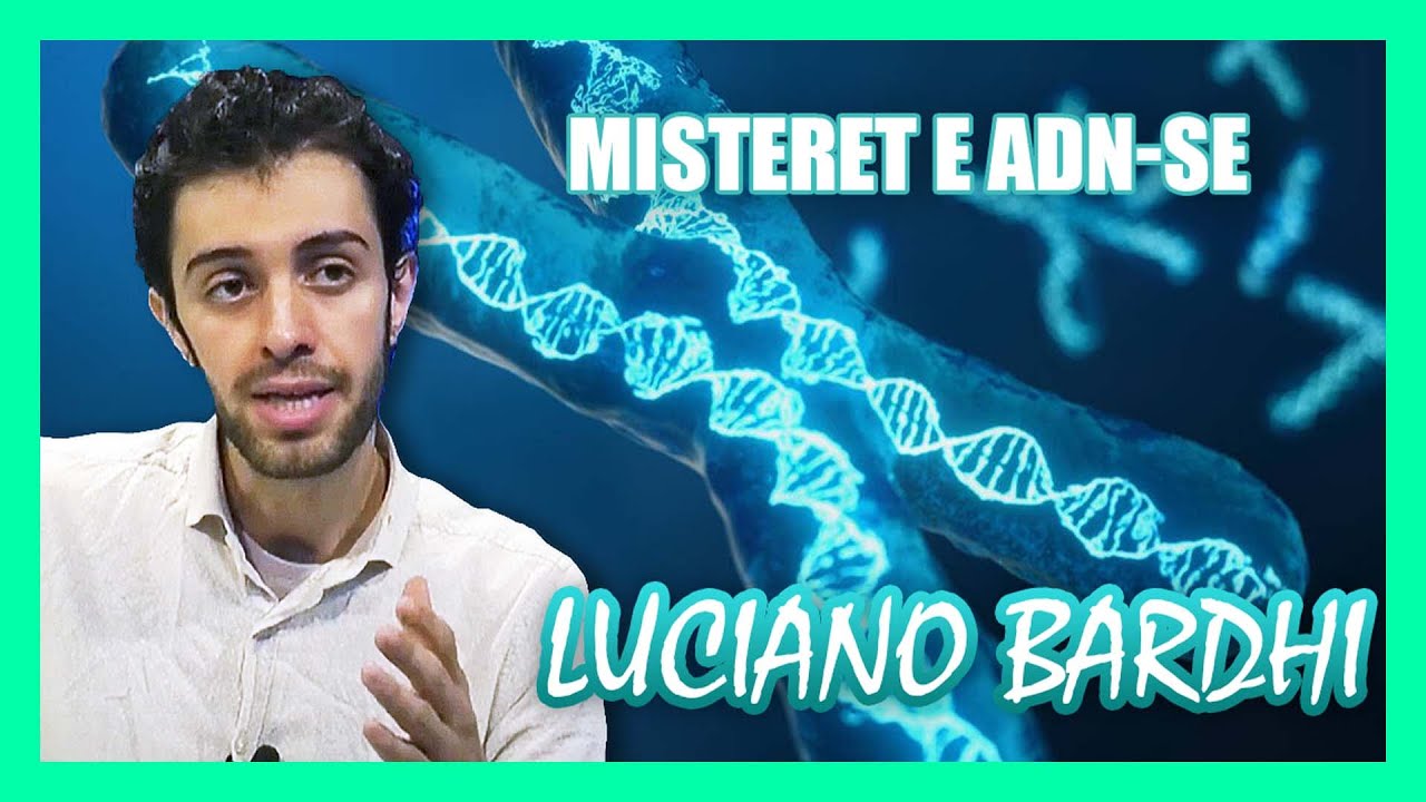 BOX SHENDETI /SEKRETET E ADNS ,e ftuar Amadea Stefa