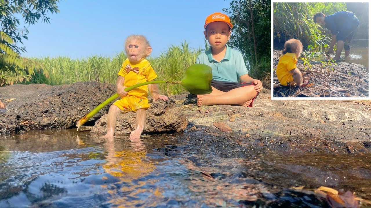 Peaceful Life — Lulu’s New Learning Experience in Caring for Fish