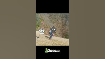 THIS FIGHT Has ENDED in a DRAW