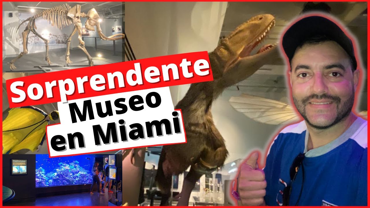 🦕🪐El MUSEO de CIENCIAS de Miami MÁS INCREIBLE🐟 | FROST SCIENCE.