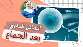 هل من الطبيعي انسكاب السائل المنوي بعد الجماع؟