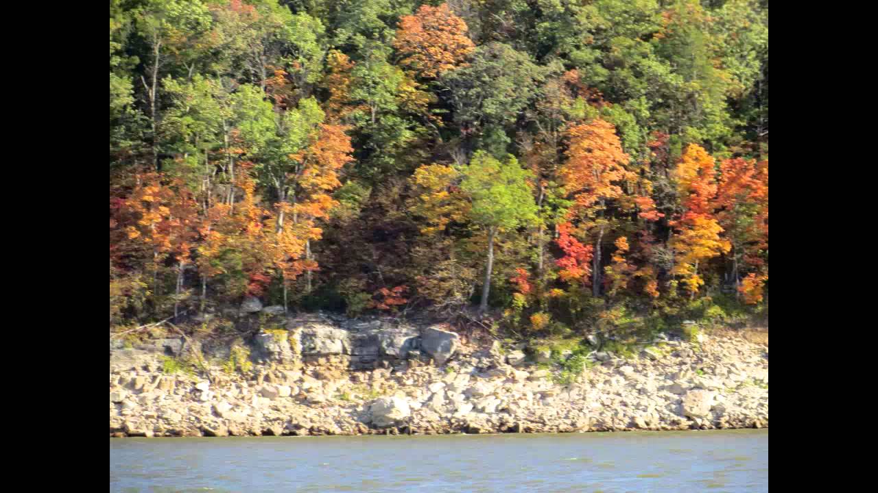 MTLSA Annual Video - 2013