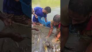 Fishing Video #shorts