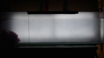 Standard dam-break turbidity current