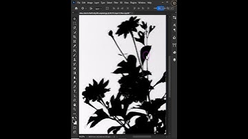 easy way to remove background in photoshop #shorts #youtubeshorts