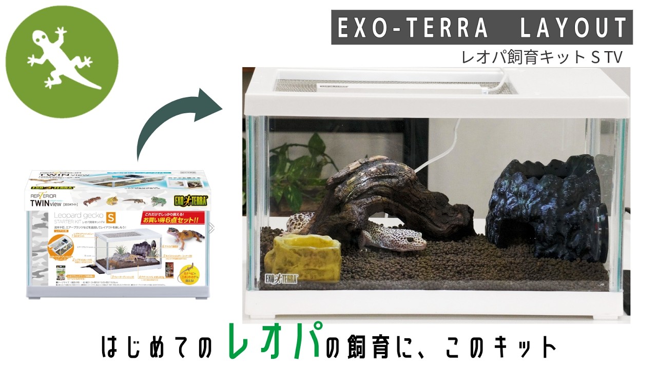 レオパ飼育キットS TV | ジェックス株式会社