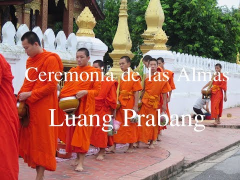 Video: Guía para la ceremonia de entrega de limosnas matutinas de Tak Bat en Laos