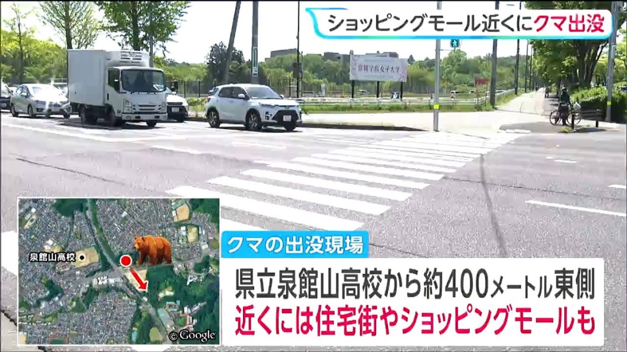 くま様注文専用(他のお客様はご遠慮ください) Bear sighting reported on a prefectural road near a shopping mall