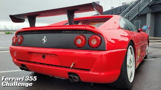 FERRARI F 355 CHALLENGE QUERLENKER HINTEN UNTEN 159374