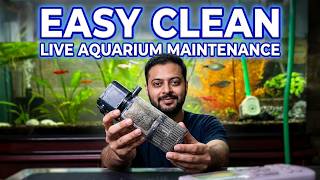Planted Aquarium Mistakes / Bad Fish for Planted Tank & Root Tabs #viral #viralvideo #trending
