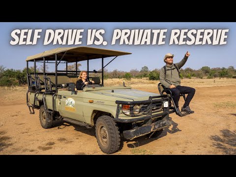 THIS IS WHY YOU SHOULD VISIT SOUTH AFRICA! | Self-Drive vs Private Reserve in Kruger National Park