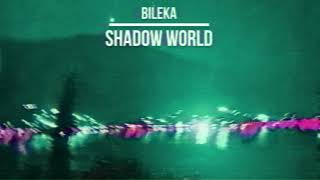 Bileka - Shadow World (speed up)
