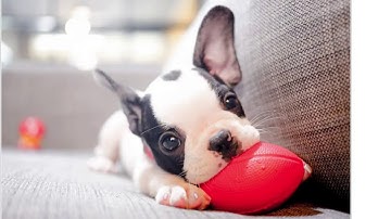 Using Spaced Repetition to program your attention in Roam (via Roam Toolkit)