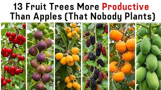 13 Fruit Trees More Productive Than Apple (That Nobody Plants)