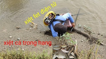 xiệt cá mùa lúa chín, cá lóc cá trê bắt gặp rắn quá đã rồi 