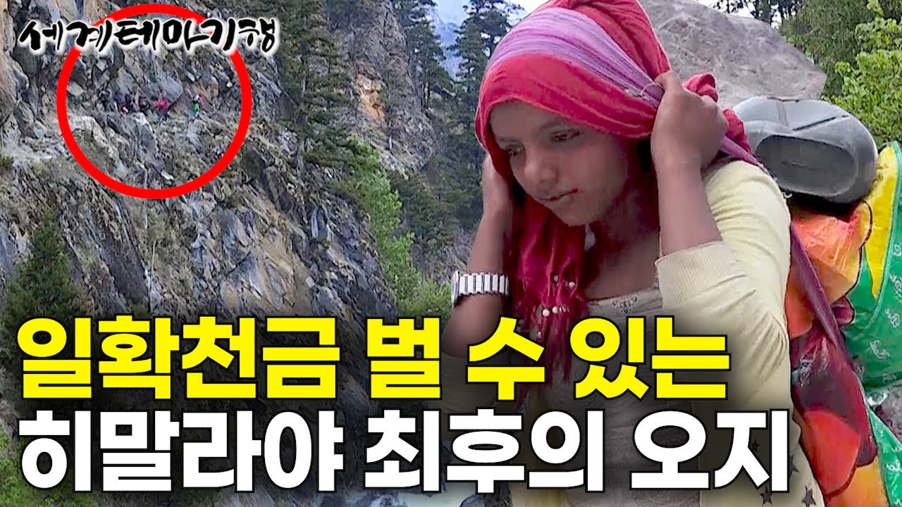 교통수단은 없다. 네팔 정부가 딱 두 달만 혀용하는 해발 5,000미터 죽음의 길｜보름이면 1년 연봉을 벌 수 있는 히말라야 최후의 오지｜세계테마기행｜#세테깅