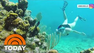 Tour Honduras’ Paradise Island Of Roatán