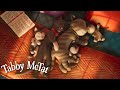 Tabby McTat and His New Family🩷 @GruffaloWorld : Tabby McTat