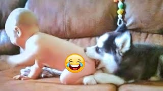 Baby Dogs - Funny and Cute Dog Videos Compilation 2021 by Viral Tech Hub 2,105 views 3 years ago 3 minutes, 20 seconds