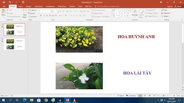 Cách tạo Hiệu Ứng trên PowerPoint 2016 - Dành cho người mới
