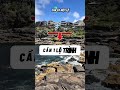 Cứ học ngành hot là dễ định cư? #phucouc #duhocuc #viralvideo