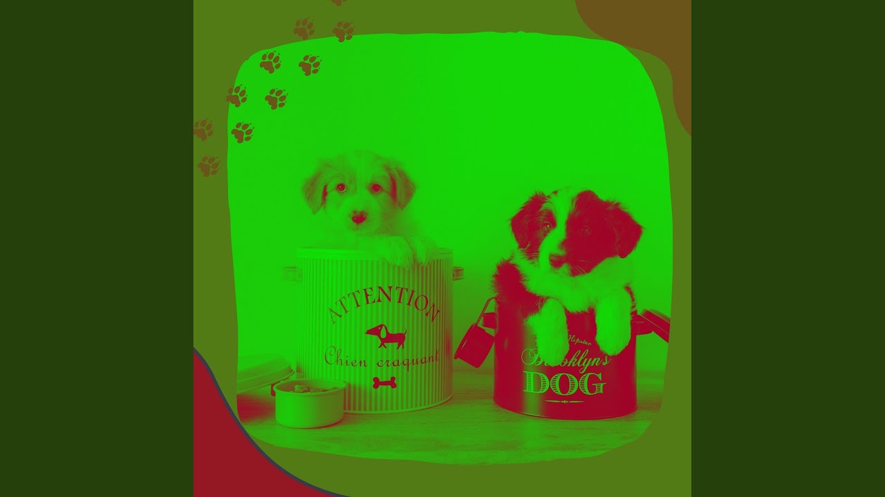 Atmospheric Relaxed Pooch