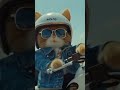 Cat bike par 😁🥰🥰😾😾😾😼😽