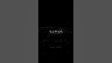 وَأَصلِحوا ذاتَ بَينِكُم وَأَطيعُوا اللَّهَ وَرَسولَهُ | محمد صديق المنشاوي | سورة الأنفال