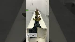 Vertical Farming Can be EASY | ZipGrow