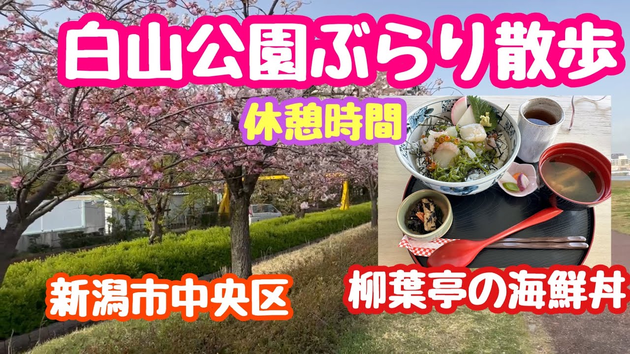 2023年4月12日 白山公園〜りゅーとぴあ 柳葉亭 休憩時間散歩 新潟市中央区