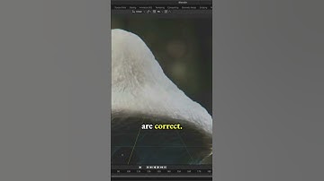 Compare Head & Mushroom Hat proportions for Smurf Cat meme - low poly 3d model character in Blender