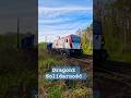 Dragon2 ET43-001 PKP Cargo w okleinie Solidarność z ładownym składem na nadodrzance #pociągi