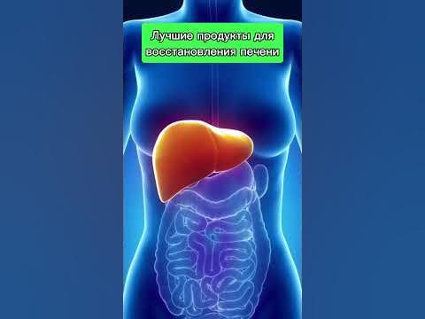 ЛУЧШИЕ продукты для восстановления печени 🥚🍇 #здоровье #зож - YouTube