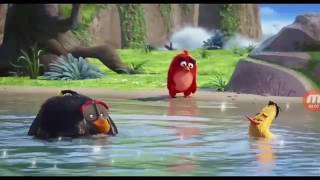 2 самых прикольных и смешных моментов в фильме Angry Birds.