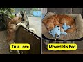 Uplifting Dog Posts To Make Your Day Better